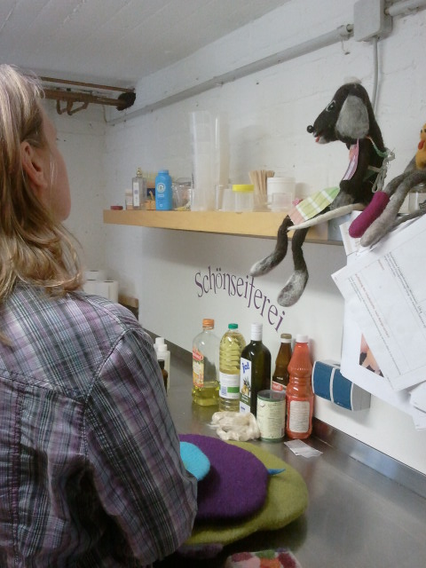 Sita Matze On Tour Indien Banjar Himachal Pradesh