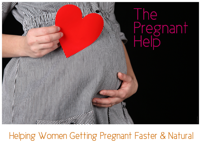 The Pregnant Help