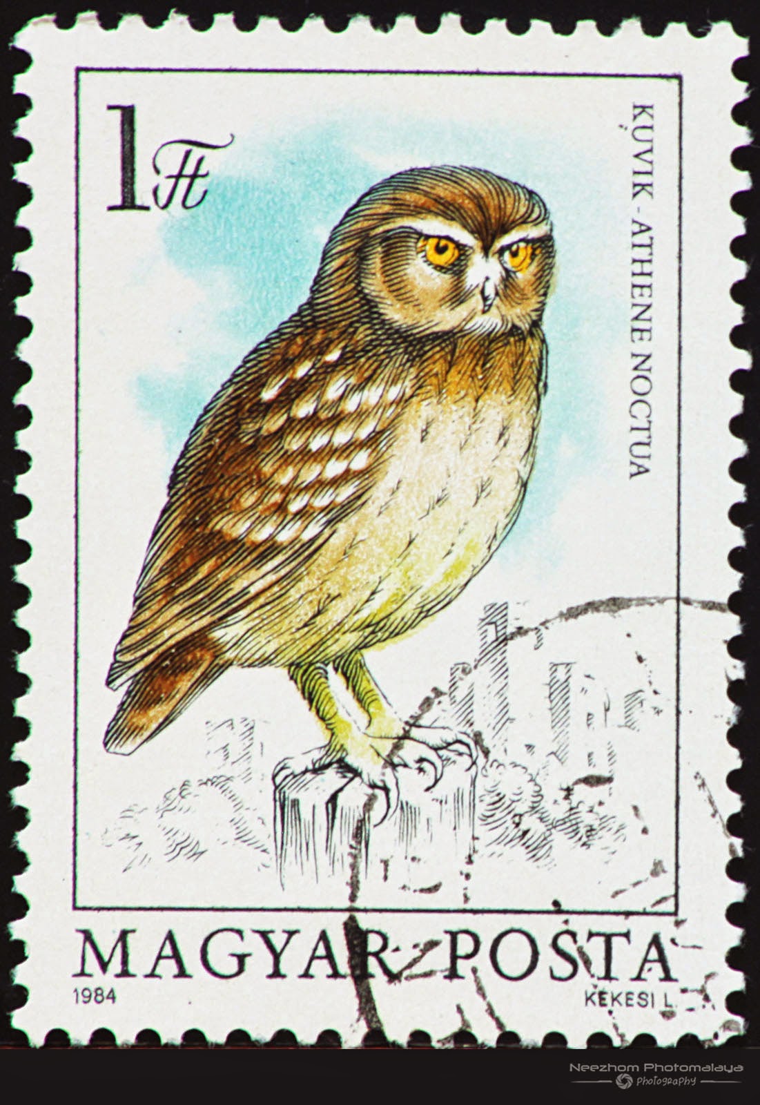 hungary 1984 owl series stamps stamps gallery