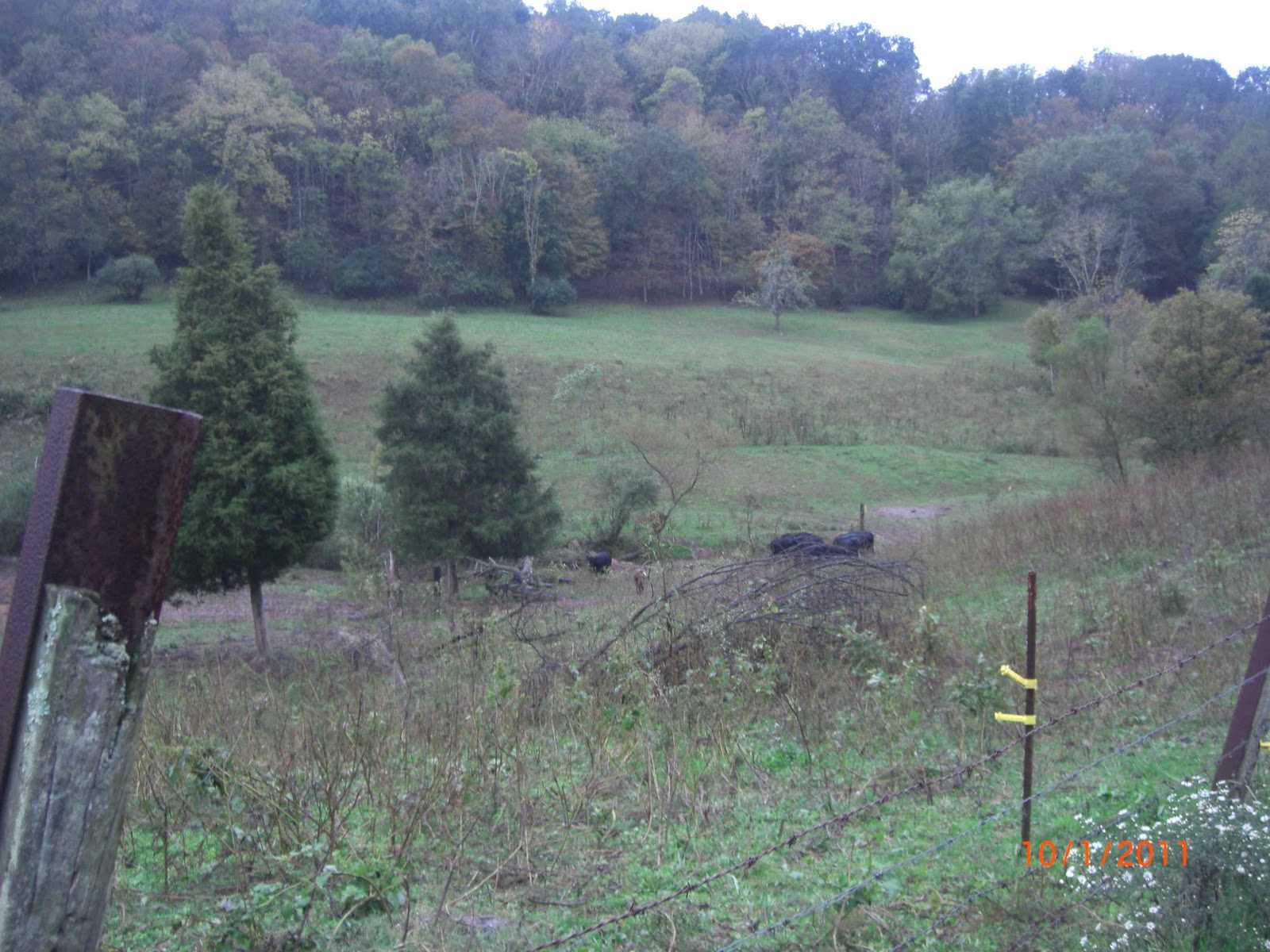 Salt Rock, WV 10/02/2011 Motorhome Moments Photo Gallery