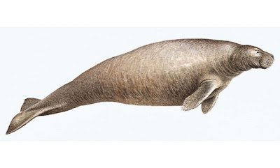 نقره لتكبير أو تصغير الصورة ونقرتين لعرض الصورة في صفحة مستقلة بحجمها الطبيعي