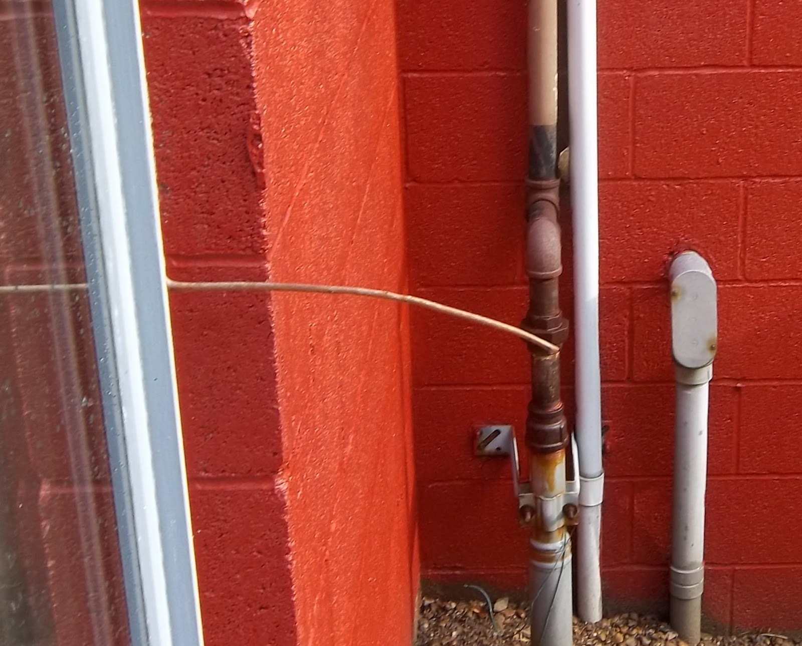 Cup on the Bus Vermont weather stick and other signs of spring