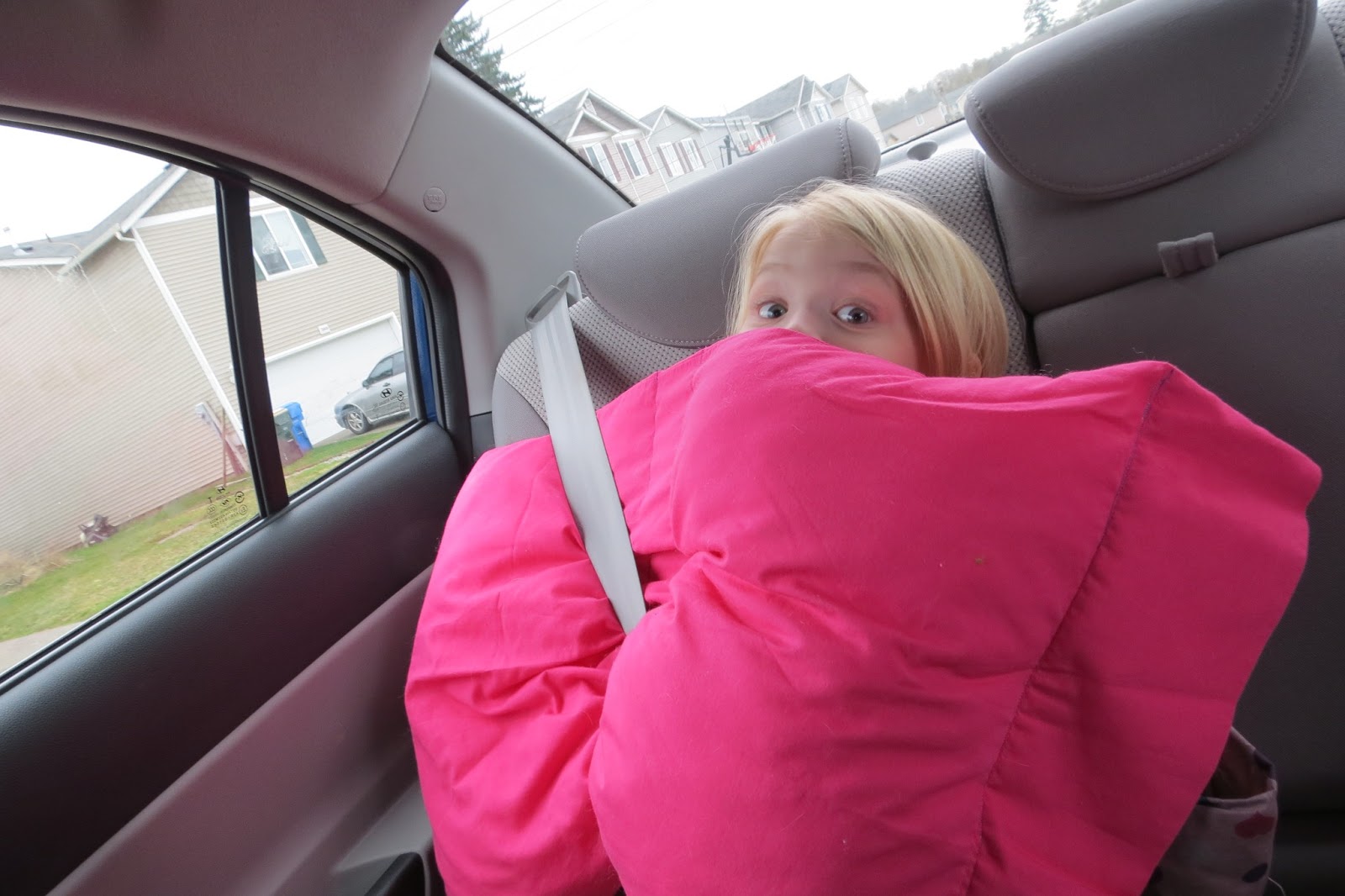 Dandylion Roots Car Travel Part Four Travel Pillow Tutorial