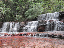 Jaspe/venezuela