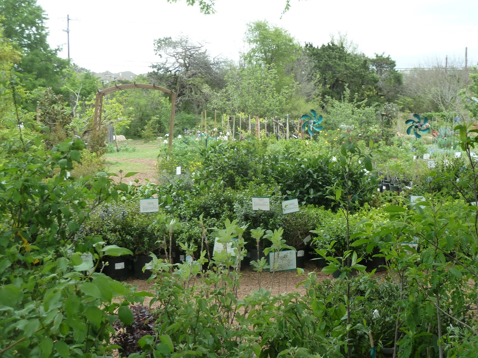 Gidget's Garden The Natural Gardener Austin, TX