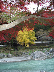 Autumn at Okutama