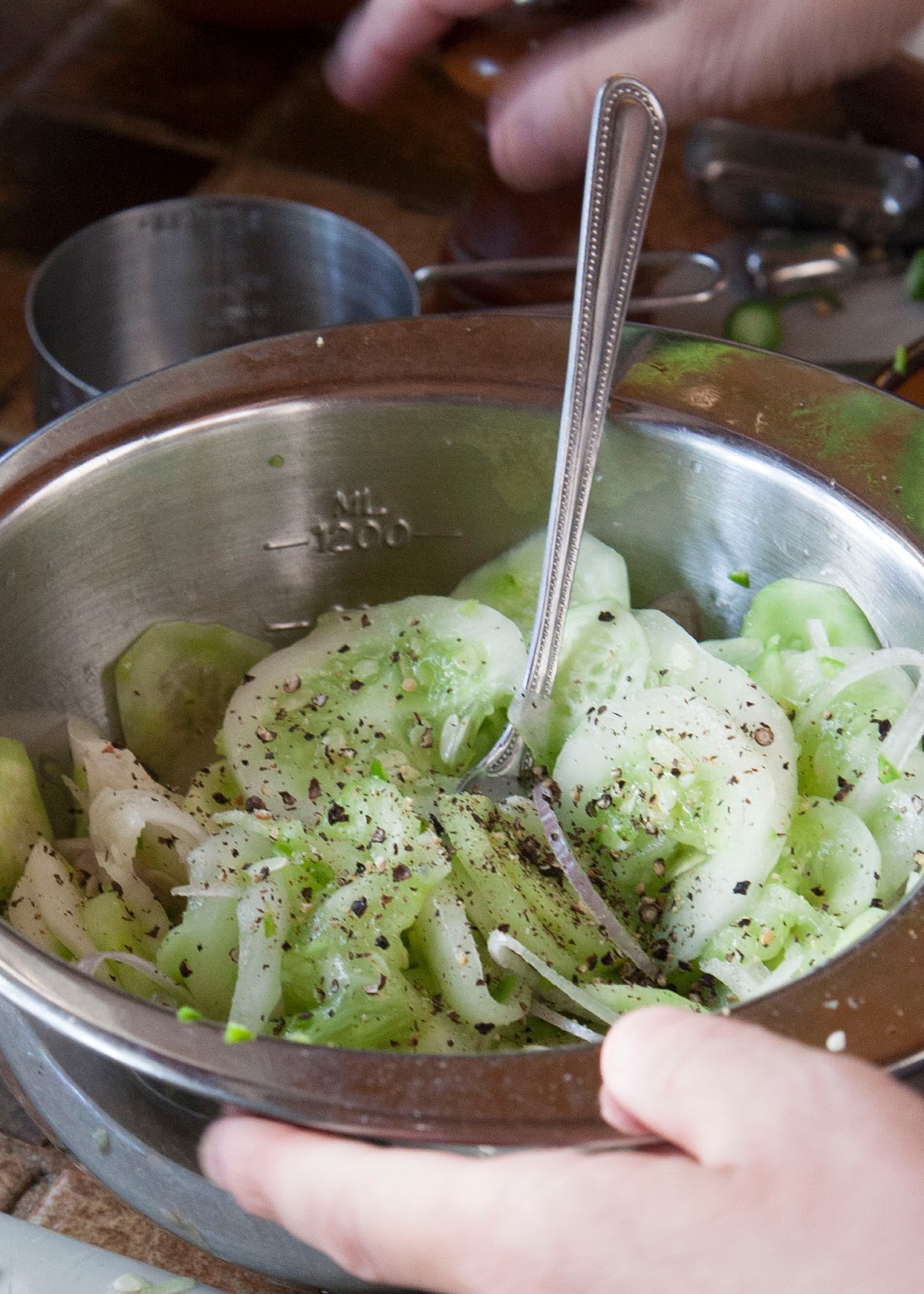 The Colors Of Indian Cooking Cool, Quick Cucumber and Shallot Salad