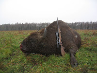 Hunting Game in Belarus Jagd in Weissrussland Chasse en Biélorussie Caza en Bielorrusia Caccia in Bielorussia