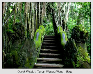 http://2.bp.blogspot.com/-tP_zwmWr9s8/T6nA_GXBBaI/AAAAAAAAAMQ/G4xNs7EK100/s1600/monkey-forest.jpg