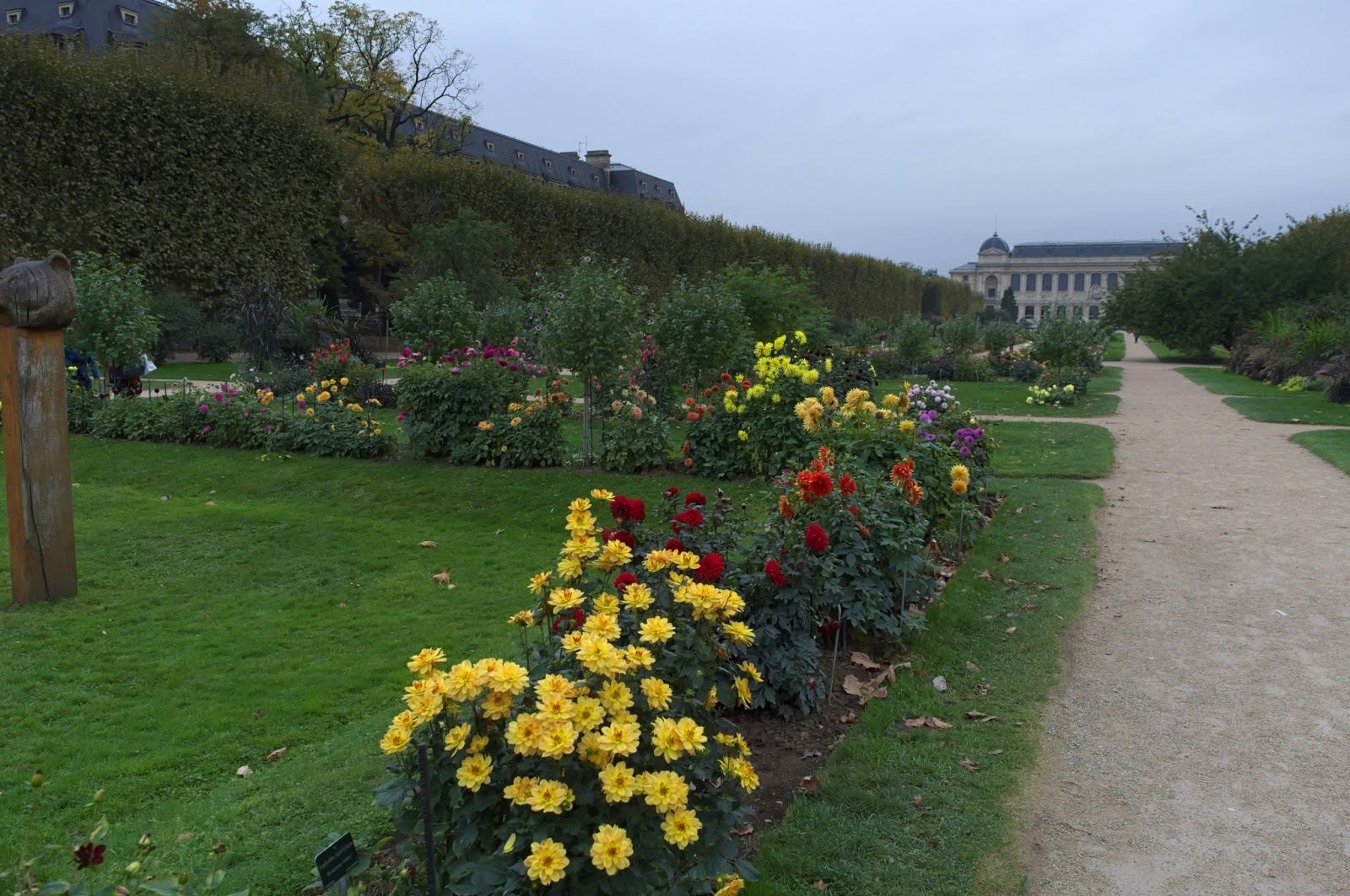 Jardin de plantes Paris with flowers. Jardin de plantes Paris with flowers.