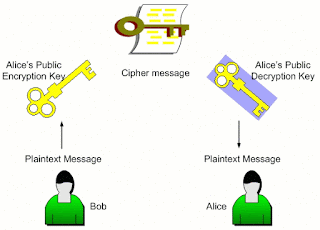 Basic PKI system what is PKI, public key và private key, CA, certificate authority, ha tang ma hoa cong khai, chu ki so, phong bi so