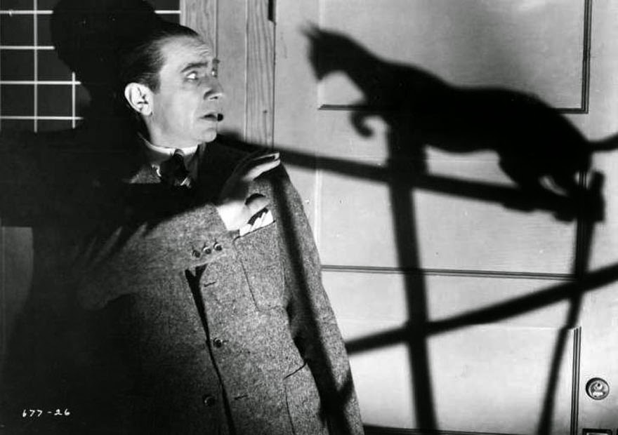 Watch The Black Cat Movie 19348