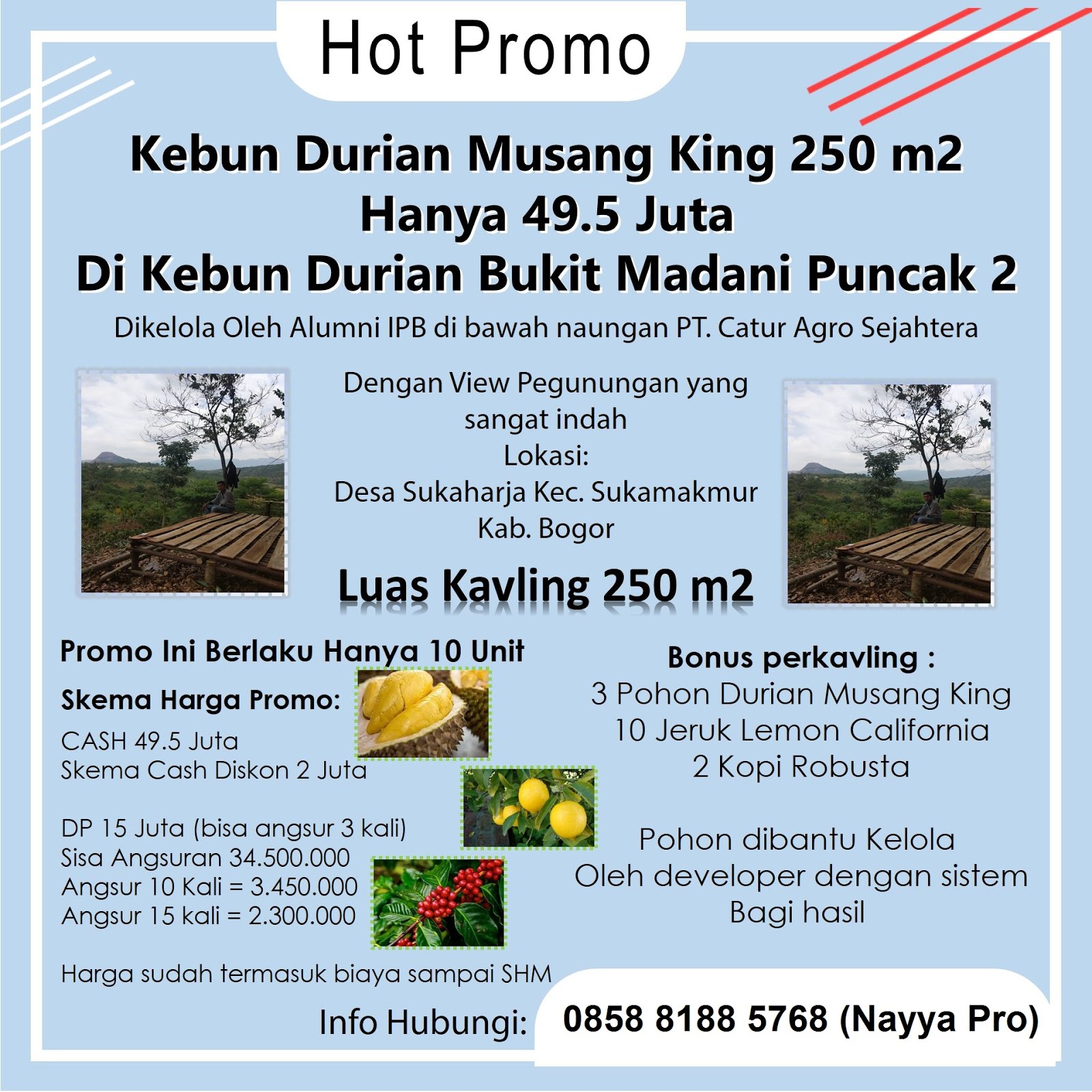 Hot Promo Kavling Kebun Durian Bukit Madani Puncak 2