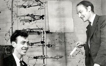 Watson and Crick