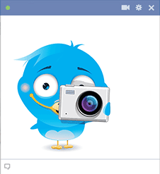 Bird Photographer Bird icon with camera