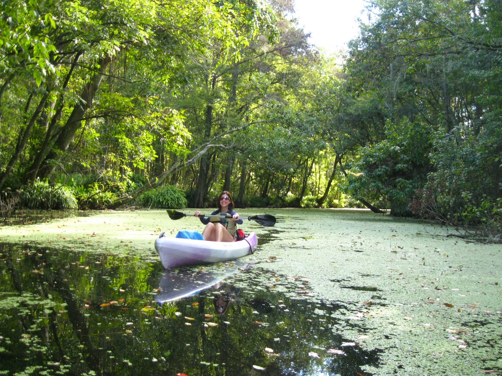 Central Florida Kayak Tours Kayaking a Florida Creek called The Dora