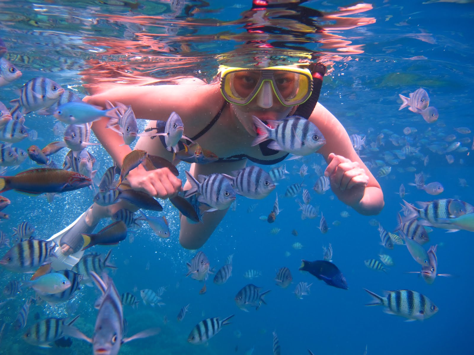 Snorkeling trip by Glass Bottom Boat Lombok and Gili Island