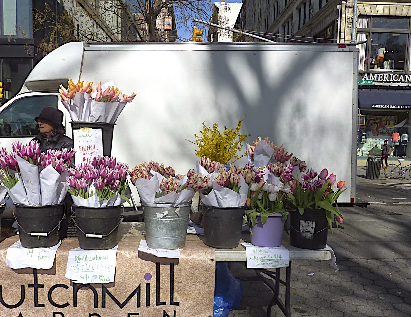 manon 21 New York en fleurs