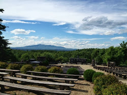 Cathedral of The Pines