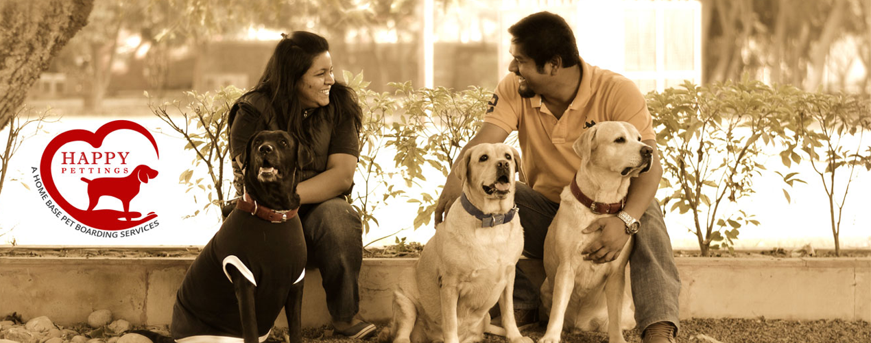 Dog Boarding Service | Pet Care | Pet Crèche - Happy Pettings