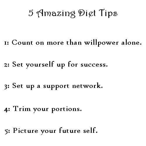 Amazing diet and anatomy of the whale shark | zakaria2fes