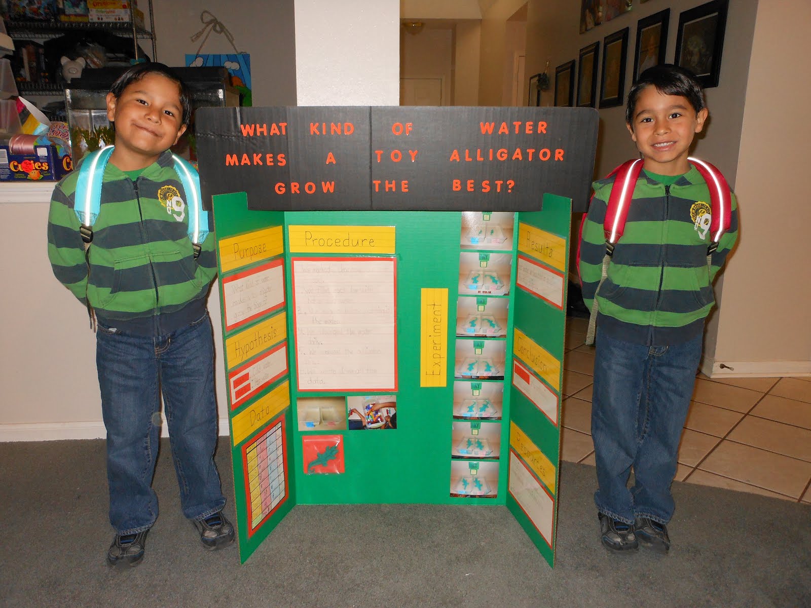 my little movie stars kindergarten science fair project part 3