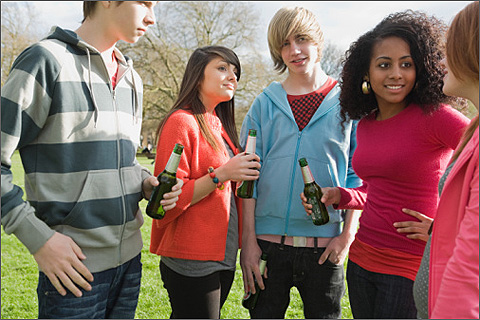 Alcohol Teenage Drinking Book Alcohol Teenage Drinking Book