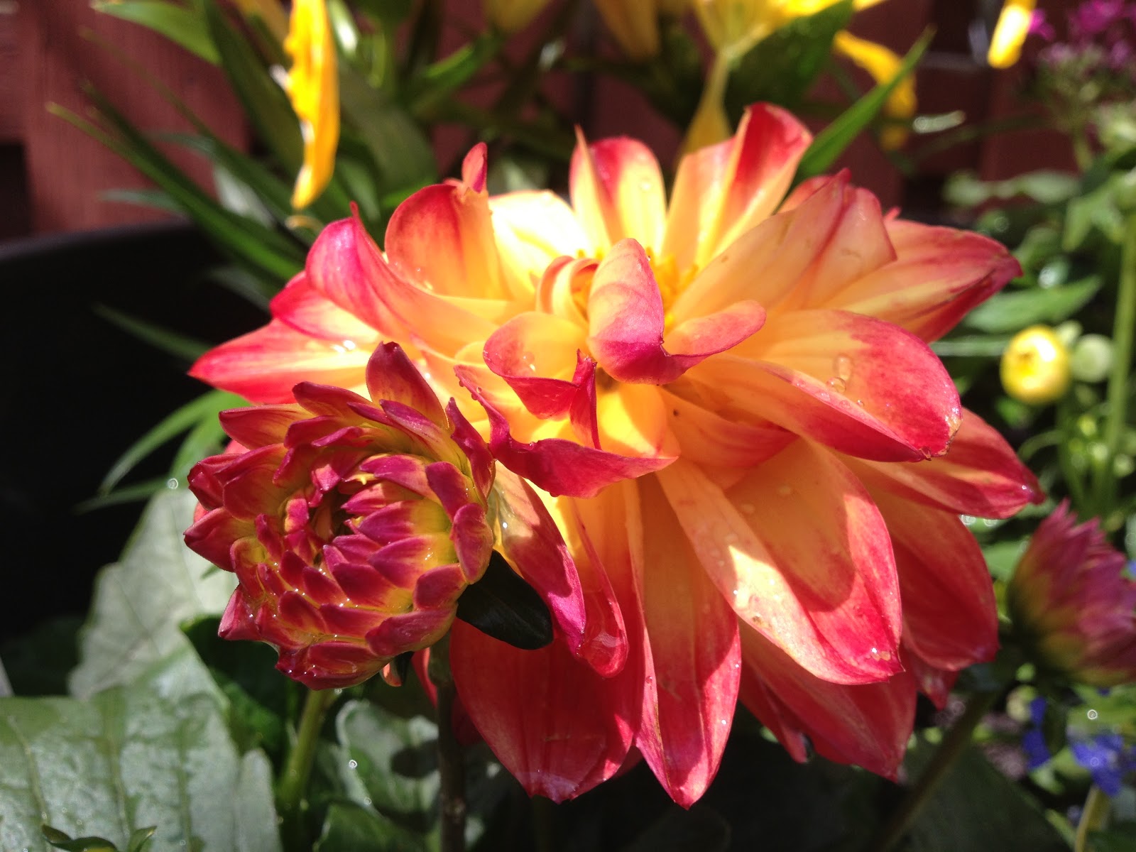 At the Lamppost Flowers Make Me Happy