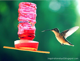 How to Make a Hummingbird Feeder