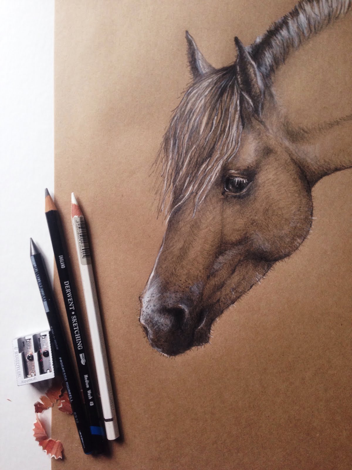 horse study