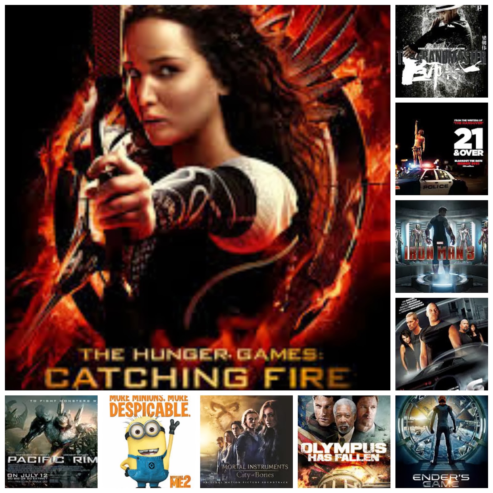 TOP 10 2013 MOVIES visual data 6