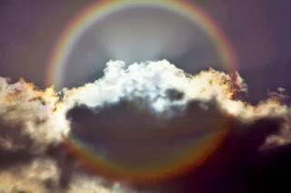 rainbow-gallery-3.jpg