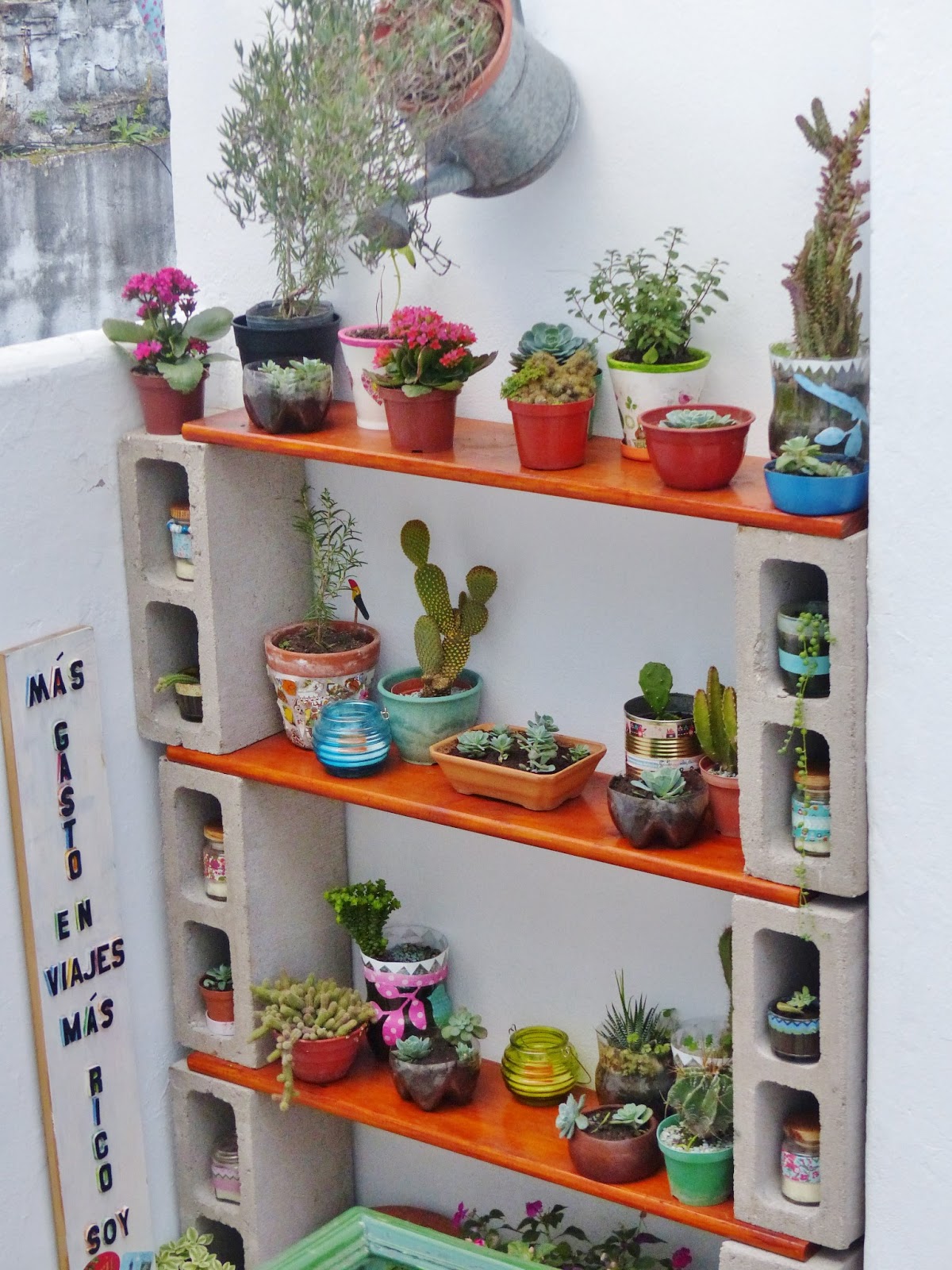 Con alma de valija.: Reciclado para darle protagonismo a mis cactus