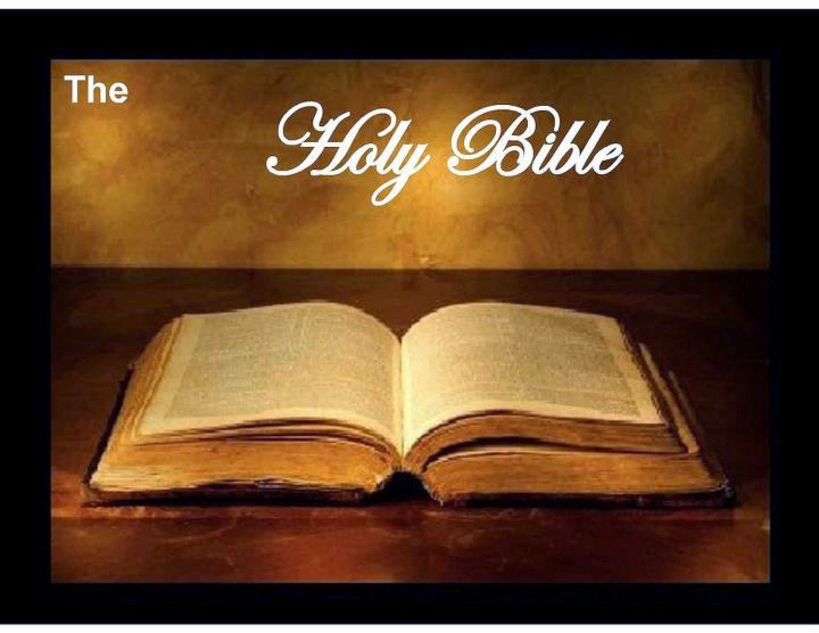 HOLY BIBLE - CONCORDANCE ONLINE STUDY GUIDE