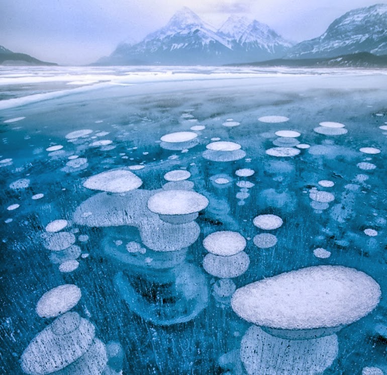 Frozen air bubbles in Abraham Lake - 15 Things You Won't Believe Actually Exist In Nature