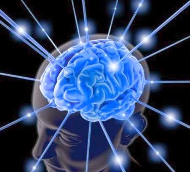 Konsep Isi Luas Pengertian Hubungan Antara Isi Dan Luas