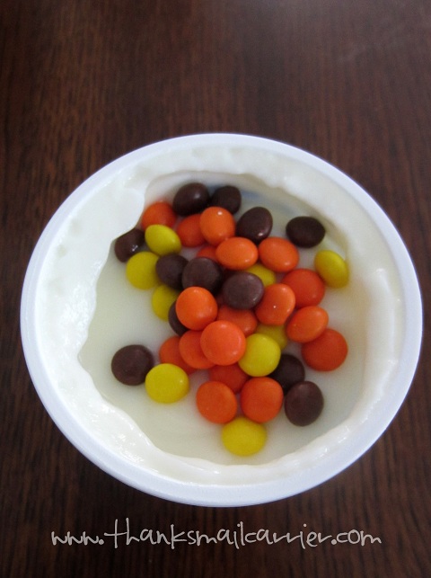 YoCrunch Reese's Pieces