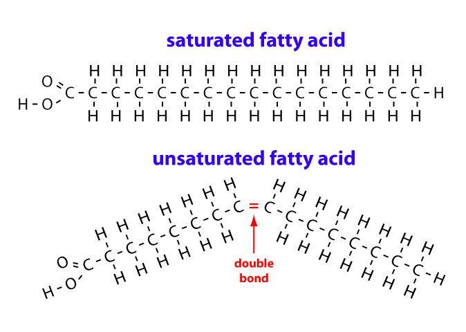 Triglycerides That Are Liquid At Room Temperature Are Called Triglycerides That Are Liquid At Room Temperature Are Called