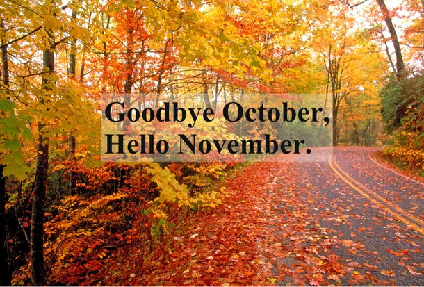 Image result for november welcome pics