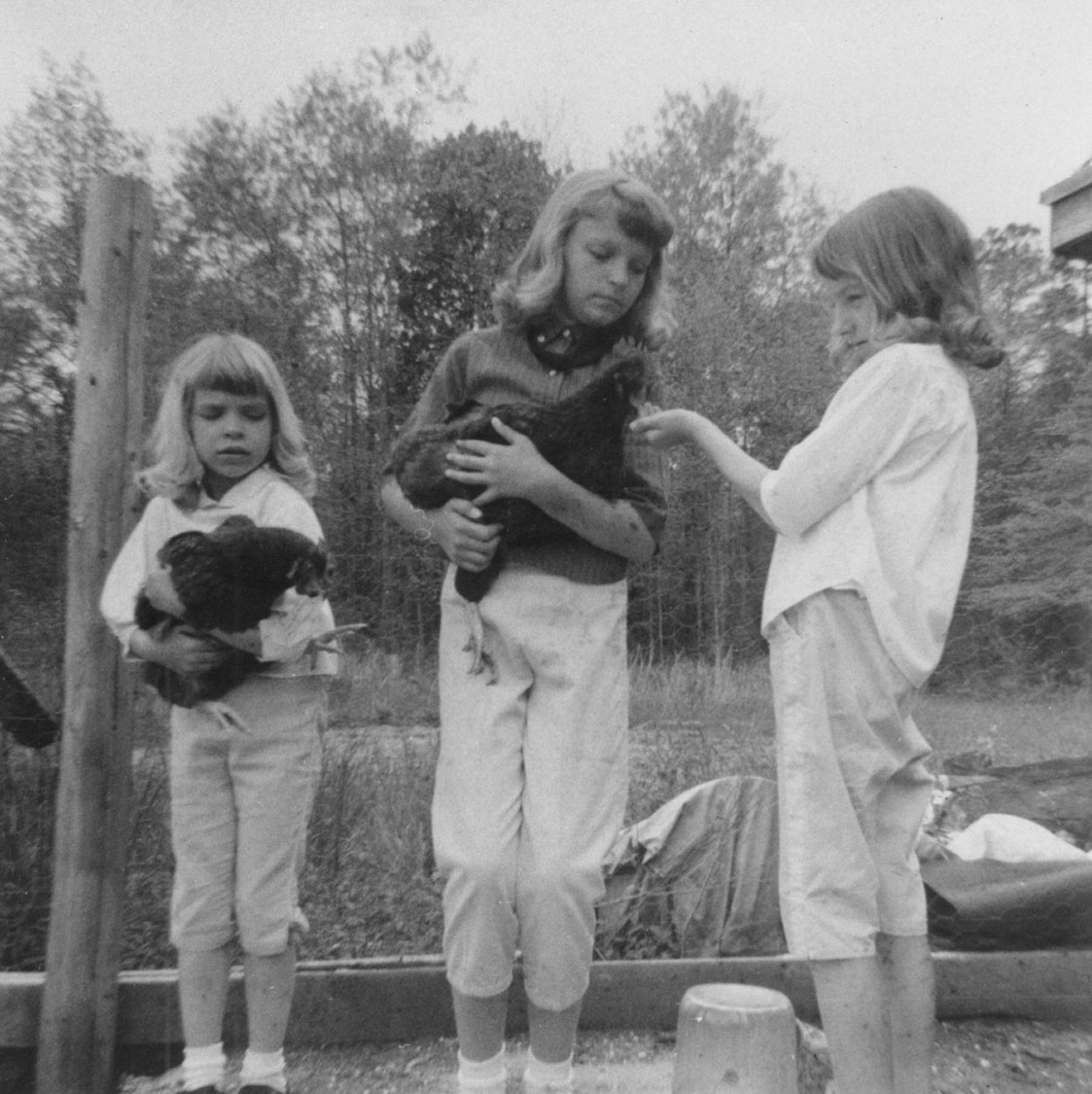 BASS RIVER TOWNSHIP, N.J. HISTORY . . . etc. Chicken Thievery in New