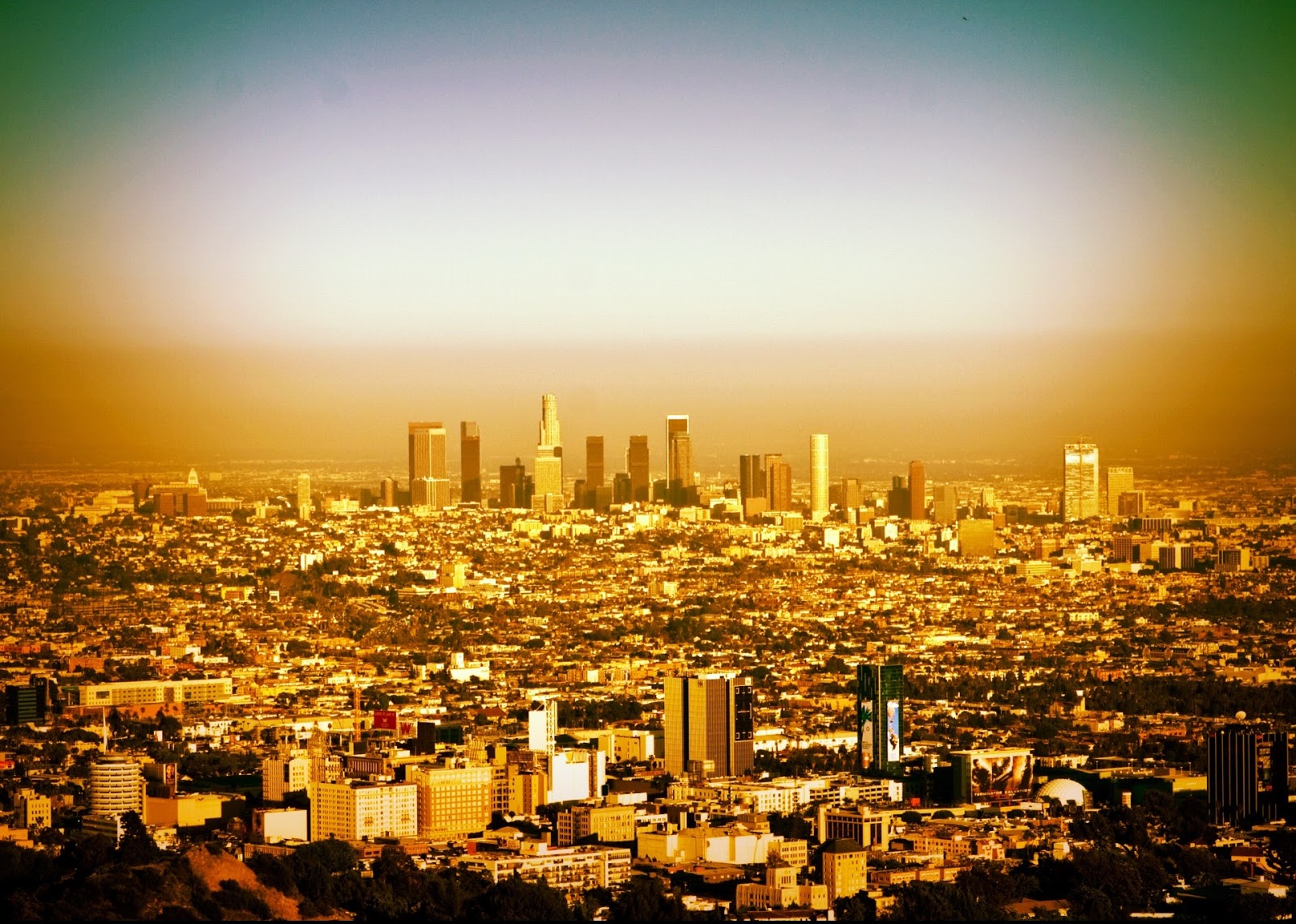 [Image: photo+1.JPG]