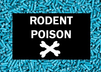 rat poison antidote for humans rat poison antidote for humans