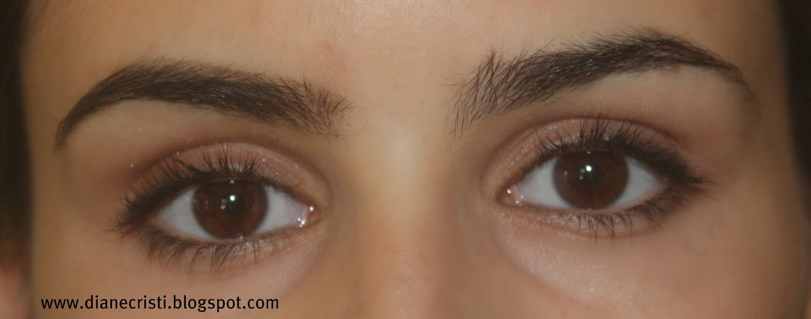 Diane Cristi AVON Perfect Eyebrow Pencil