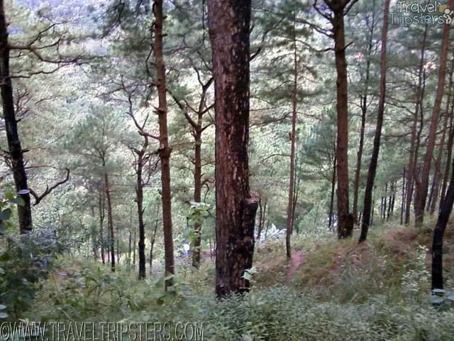 crosby park crosby park