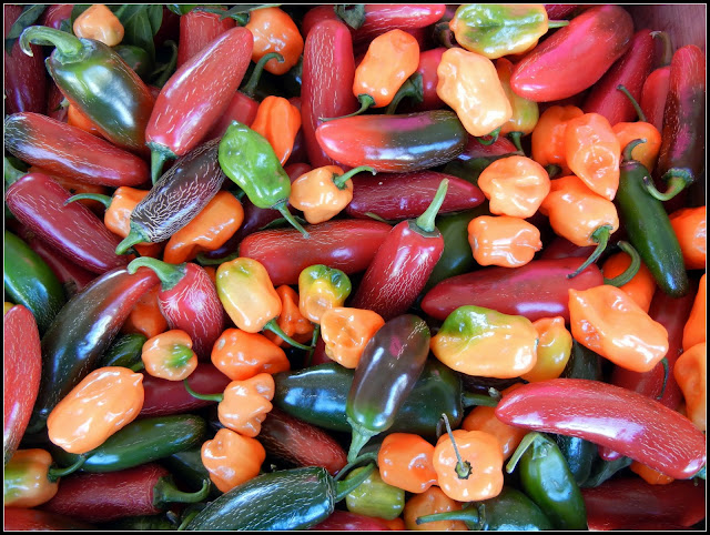 Colorful peppers at a farmer's market in Holland, Michigan