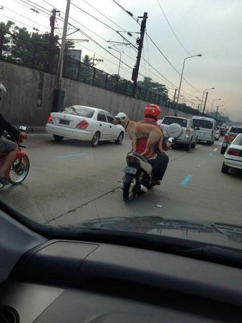 imagenes imagenes
