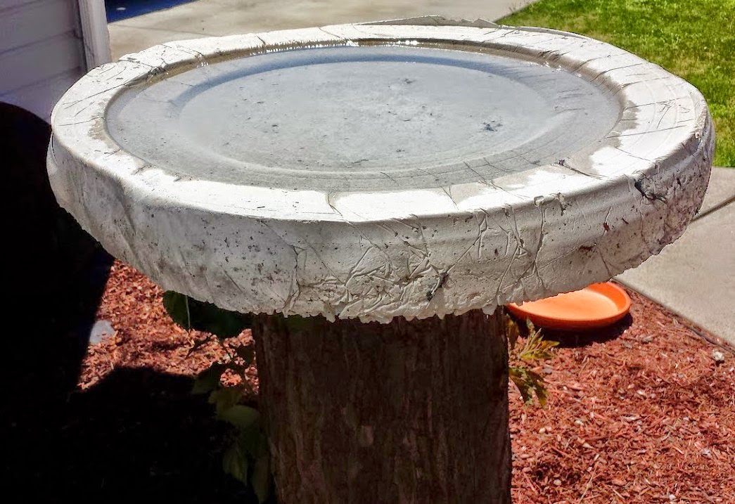 Flippin Good Ideas DIY Concrete Tree Stump Birdbath