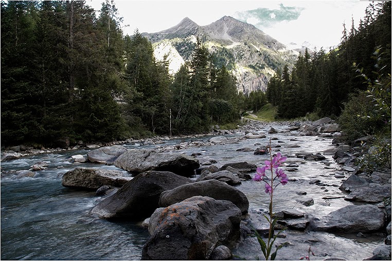 emphoka, photo of the day, Marco Cummaro, Olympus XZ-1 emphoka, photo of the day, Marco Cummaro, Olympus XZ-1