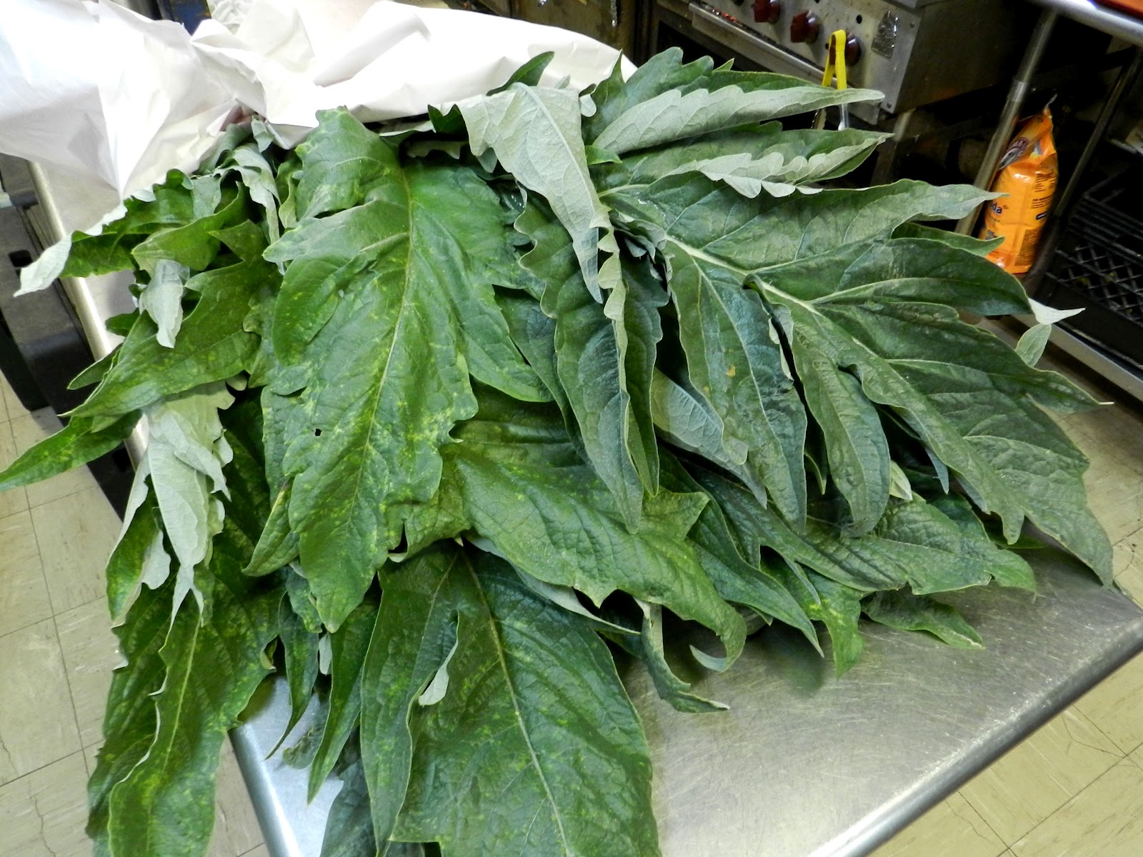 One Blog West Alien Ingredient 28 Artichoke Stems