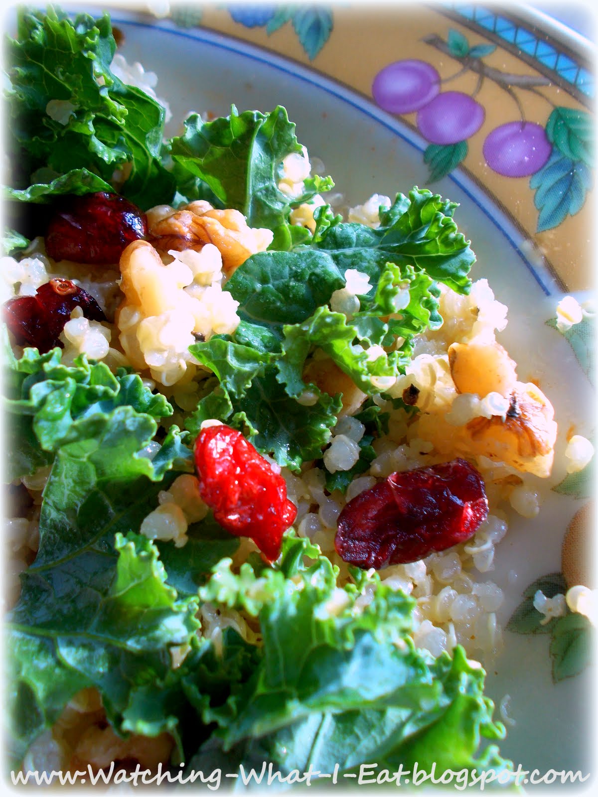 Watching What I Eat Quinoa, Kale, Walnut & Cranberry Salad